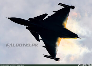 Swedish government studies Gripen fighter delivery to Ukraine (Photo by Jacek Pałczyński)